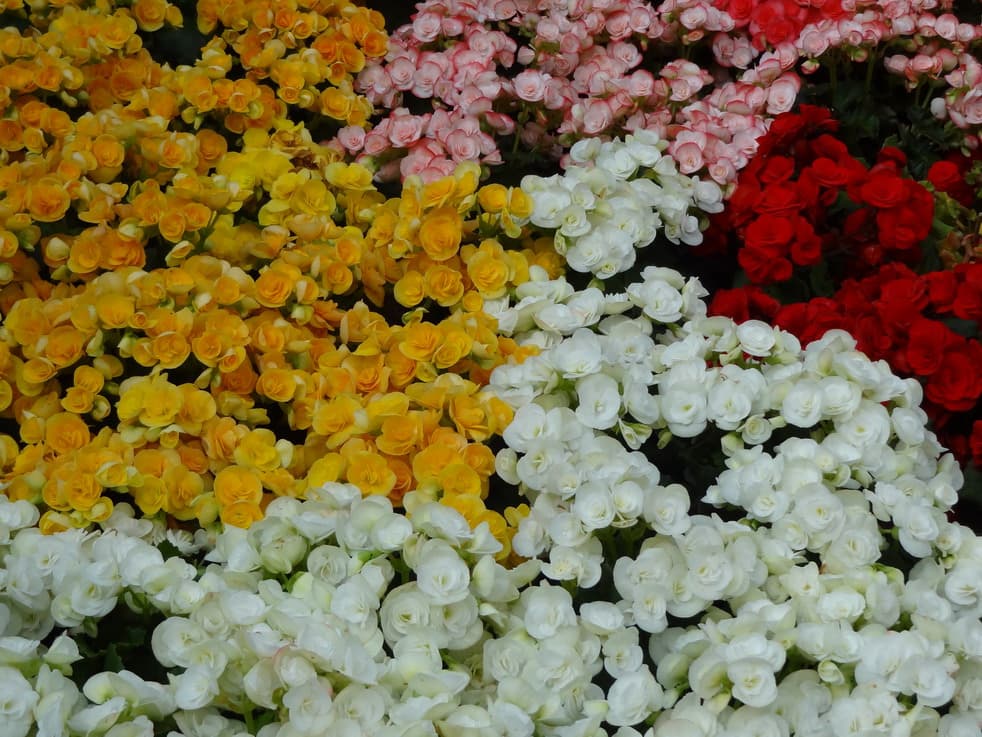 บริษัท เอพีเอ ทนายความ จำกัด